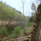 Beaver Pond