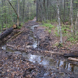 muddy trail but some attempt to control the water.