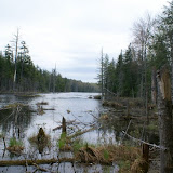 Little/Big Shurman Pond