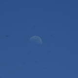 the moon was out