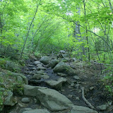 More of the Trail