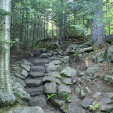 The Trail