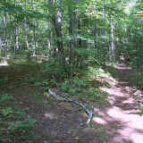 Trail breaks left from Northville Placid Trail, unmarked