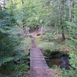 The Trail