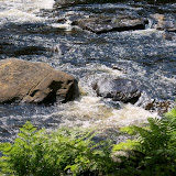 DSC04830.JPG