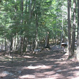 The trail