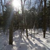 DSC08501.JPG
