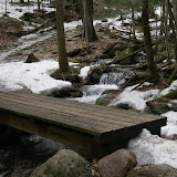 DSC08537.JPG