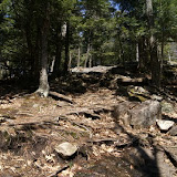 DSC08554.JPG