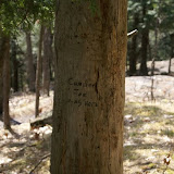 DSC08576.JPG