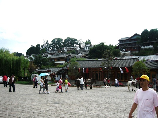 [P1080086[2].jpg]
