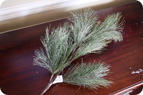 IMG_1898 IMG_1898