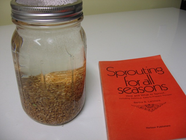 [sprouting0263.jpg]