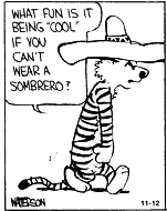 [calvin_and_hobbes-sombrero[2].png]
