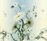 Daisy_33559993.jpg