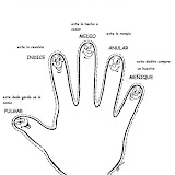esquema corporal