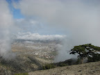 IMG_1826.JPG