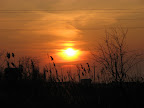 IMG_1874.JPG