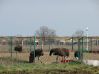 IMG_1891.JPG