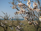 IMG_1909.JPG
