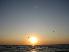 IMG_3348.JPG