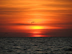 IMG_3483.JPG