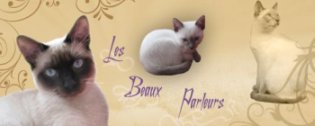 Chatterie des Beaux Parleurs