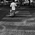 4343755750_7161cea7ab_b.jpg