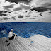 aa38851eb892de663ab3213e877f97ef.jpg