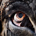 1166998796_opr0uym7.jpg