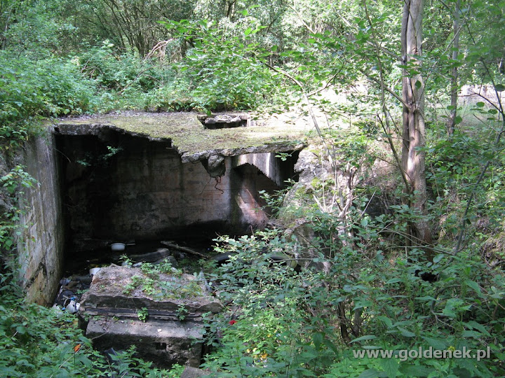 Ruiny fabryki benzyny Police