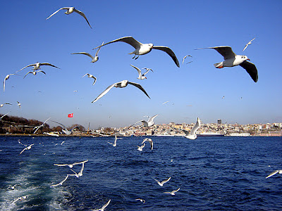 istanbul european part