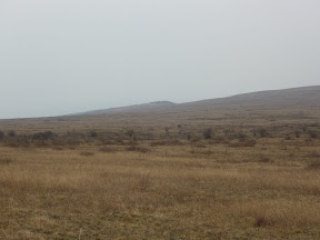Крим 2010 (PANASONIC)