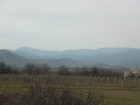 Крим 2010 (PANASONIC)