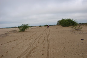 21.06.2009 - Березно2009