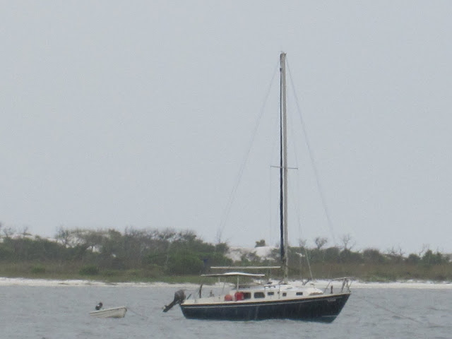 sailboats
