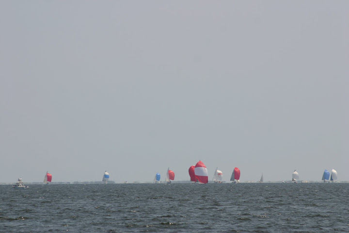 regatta