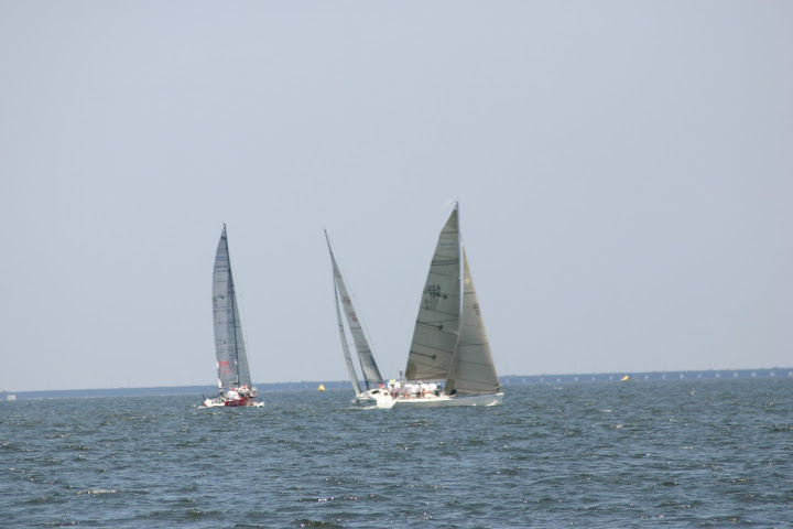 sailboats