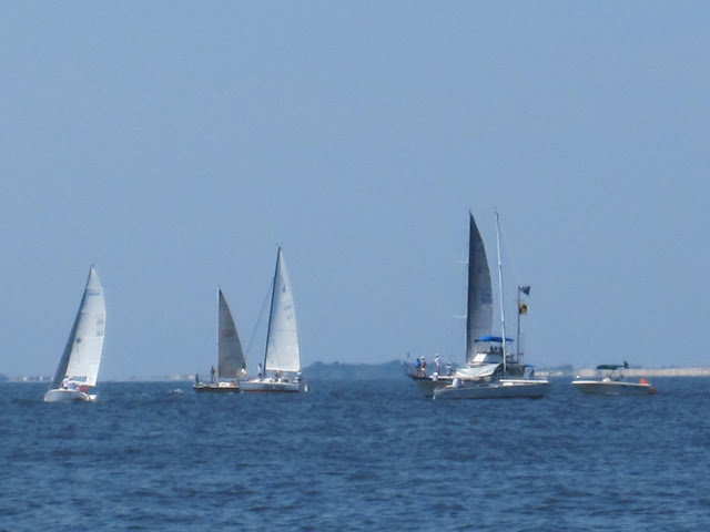 sailing