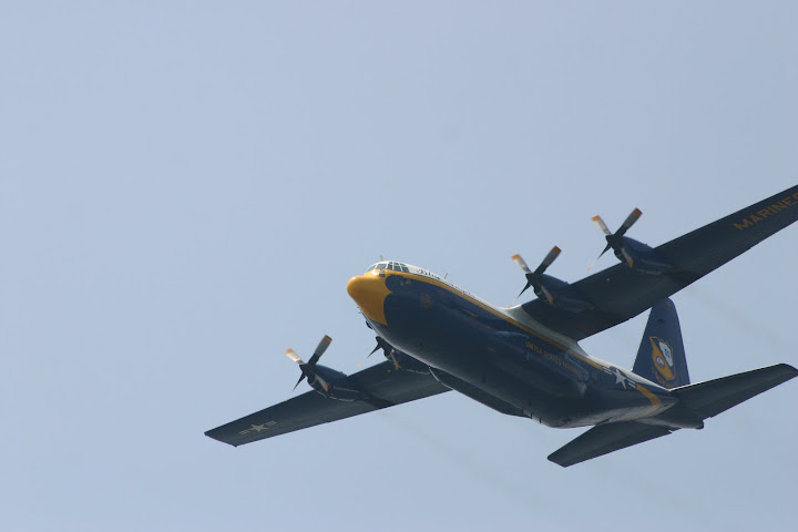 Fat Albert