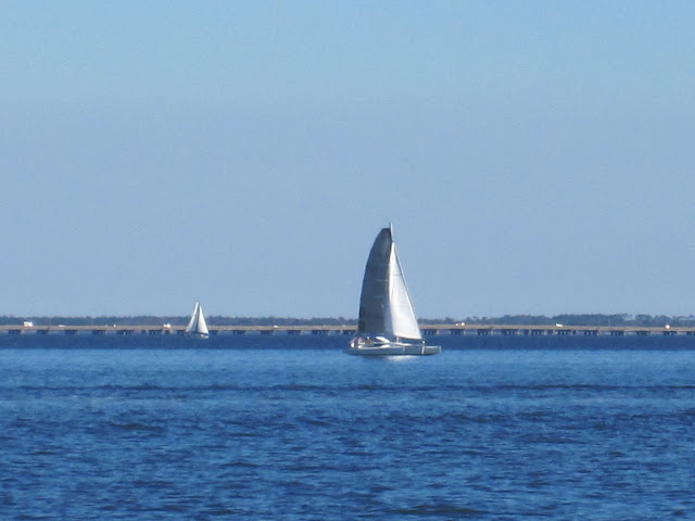 sailing
