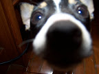100_1639.JPG