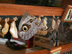 Costa Rica, Spring Break, 2007 270.jpg