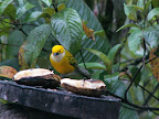 Costa Rica, Spring Break, 2007 020.jpg