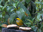 Costa Rica, Spring Break, 2007 261.jpg