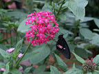 Costa Rica, Spring Break, 2007 390.jpg