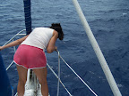 100_1771.JPG