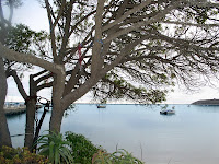 halfmoonbay2.jpg