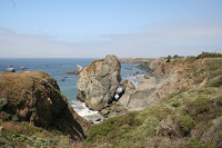 north6.jpg
