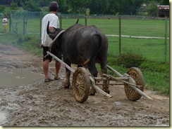 real offroad